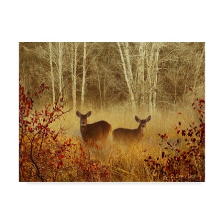 Chris Vest 'Foggy Deer' Canvas Art,14x19